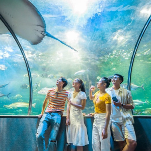 【台中】富國島豪華五星5日