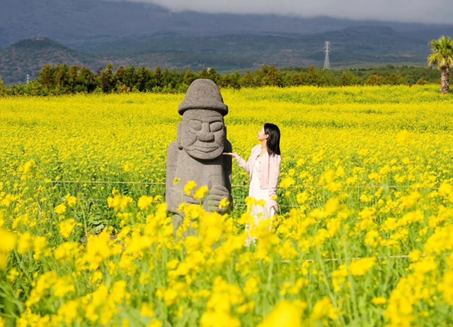 夏濟玩樂濟州５日(彩妝1站)~牛島+花生冰淇淋.史努比庭園.品嚐銷魂海味餐桌.黑豬肉吃到飽.保證入住兩晚四星等級飯店