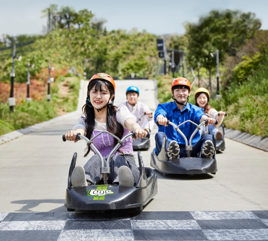 【高雄出發】韓國5日.穿韓服遊景褔宮.LUGE斜坡滑車.樂天世界.網美星空圖書.燒肉吃到飽.升等市區飯店