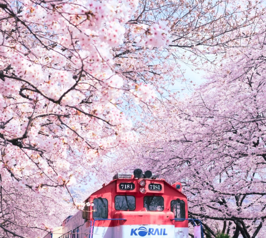 來去濟州自由行5日(送網卡)(6人成行)