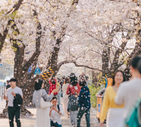 【春季限定/高雄出發】出發首爾賞櫻趣５日(彩妝1站)~韓國觀光100選.南山公園.西村韓屋村.石村湖.仁川大公園.明洞