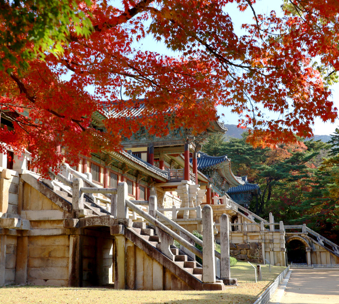 【高雄釜山】楓姿饗宴釜山５日(彩妝1站)~七大賞楓勝地.美食百選.金井山城金剛公園.梵魚寺.華明樹木園.天空膠囊列車