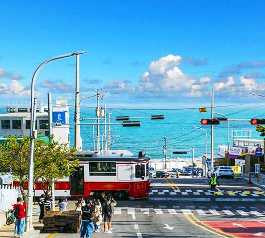 釜慶好好玩５日(彩妝1站)~熱門打卡景點.海景咖啡廳.小王子打卡秘境.甘川洞文化村.慶州校村韓屋村.韓國美食百選.