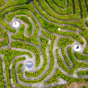 一起打卡吧.馬國浪漫大紅花5日