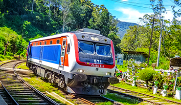 旅遊家 【錫蘭客】斯里蘭卡雙火車全程5星住宿全覽9日~獅子岩.肯迪.迦勒.高山海濱雙火車.雅拉國家公園