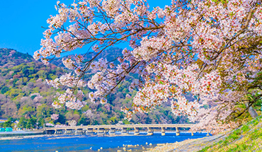 旅遊家 超值關西印象5日.環球影城.清水寺.和牛伊勢龍蝦相撲鍋.奈良小鹿.嵐山渡月橋