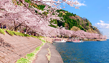 旅遊家 超值花現丹後關西6日.琵琶湖海津大崎櫻花隧道.天橋立.丹後鐵道.美山合掌村.溫泉美食(名古屋進出)