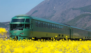 旅遊家 戀上九州五星西海.橋由布院之森列車.天草海豚觀賞.野生叢林巴士.稻佐山斜坡車.螃蟹吃到飽美食5日(全程無自理餐)