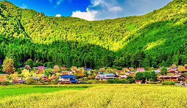 旅遊家 【限時限量】春戀星宇5日.漫步美山合掌村.嵐山版叮叮車.鳴門渦之道.奈良梅花鹿.京都兩晚(德島包機)