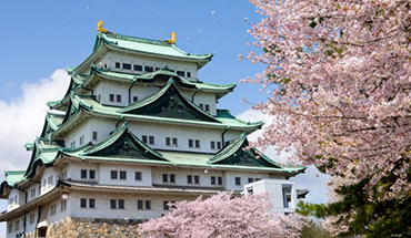 旅遊家 櫻漫舞北陸5日～新境川櫻花道.兼六園.白川鄉合掌村.金箔體驗.名古屋城.郡上八幡.兩晚溫泉(小松進出)