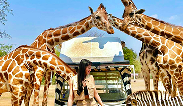 旅遊家 泰越捷VZ567/562～泰假掰.北碧網紅體驗6日-10人成行～贈長頸鹿拍照(不含泰簽)