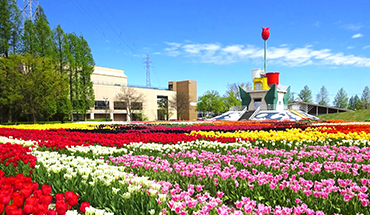 旅遊家 超印花現北陸5日.飛驒小京都.鬱金香四季彩館.白川鄉合掌村.採草莓體驗.名花之里.新穗高原纜車