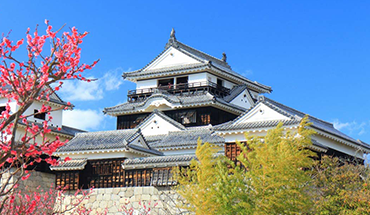 旅遊家 【早鳥折1000】星動四國.賞櫻巡禮5日.莫內庭園.採草莓吃到飽.金刀比羅宮.阿波舞表演.道後溫泉.大步危(德島包機)