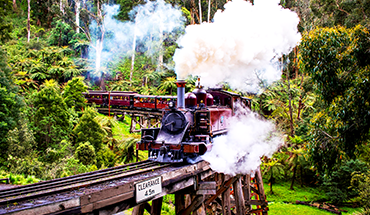 旅遊家 東澳4城相連＋3塔景觀結伴9天~企鵝歸巢.蒸汽火車.擁抱無尾熊