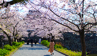 旅遊家 春遊九州賞櫻趣~日田櫻花隧道.高千穗峽.柳川遊船溫泉.輕旅行５日