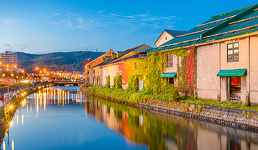 旅遊家 特惠!北海道洞爺湖.美瑛秘境青池.AOAO爆萌企鵝.頭大佛.浪漫小樽.輕旅行5日